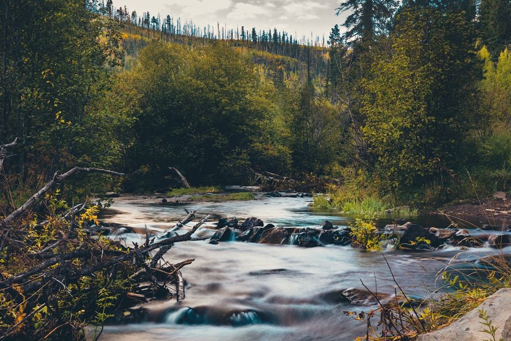 The beautiful nature of the Little Colorado River in Greer, Arizona, USA