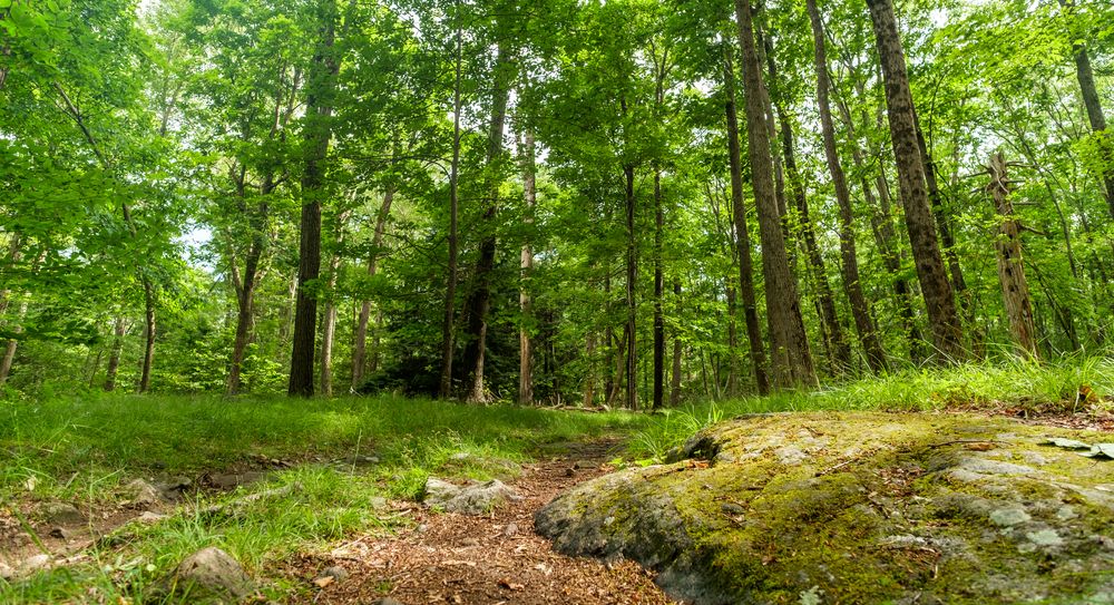 10 Best State Parks In The US With Scenic Hikes