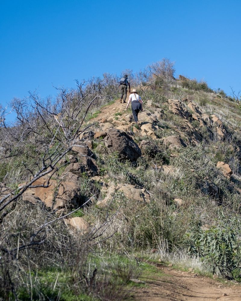 Two unidentified hikers go up the Blue Ridge trail at the Stebbins Cold Canyon, near Winters, California