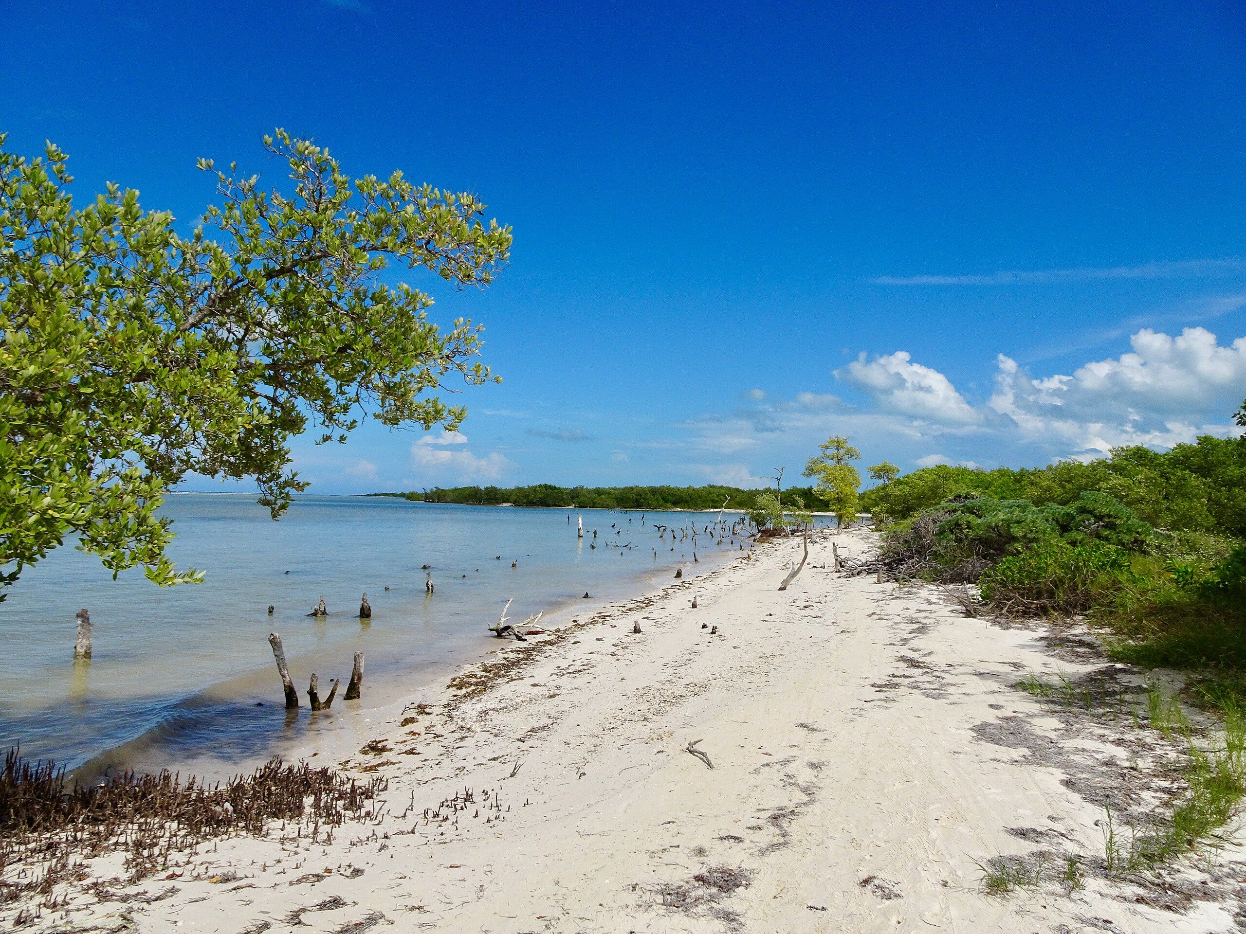 Underrated But Scenic: 10 Hidden Gem Beaches In Mexico