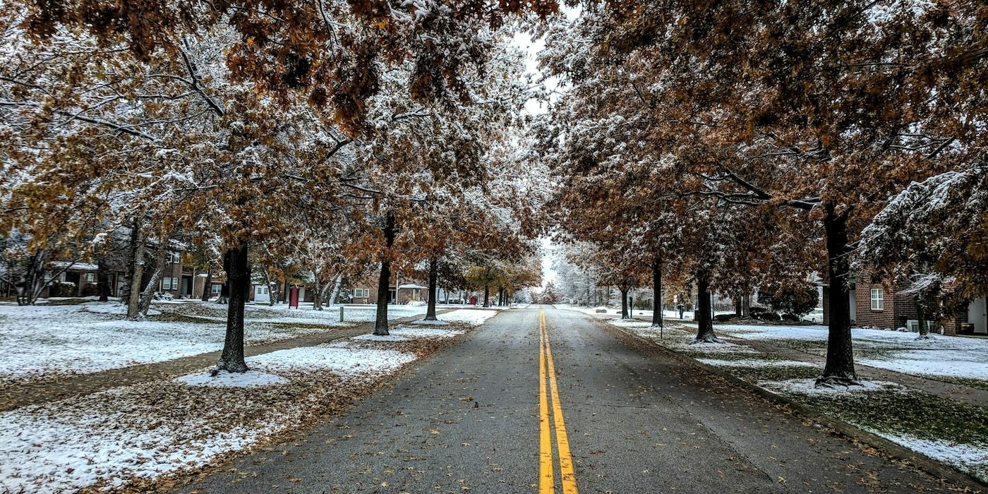 A road lined with brown leaf trees in Broadview Heights, Ohio
