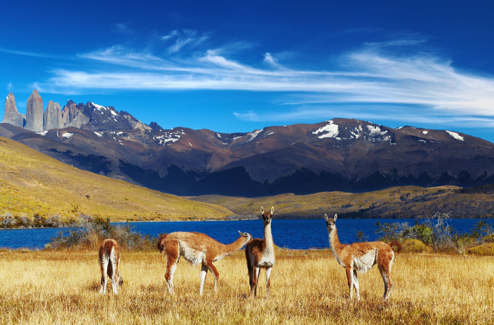 Torres del Paine, Patagonia, Chile