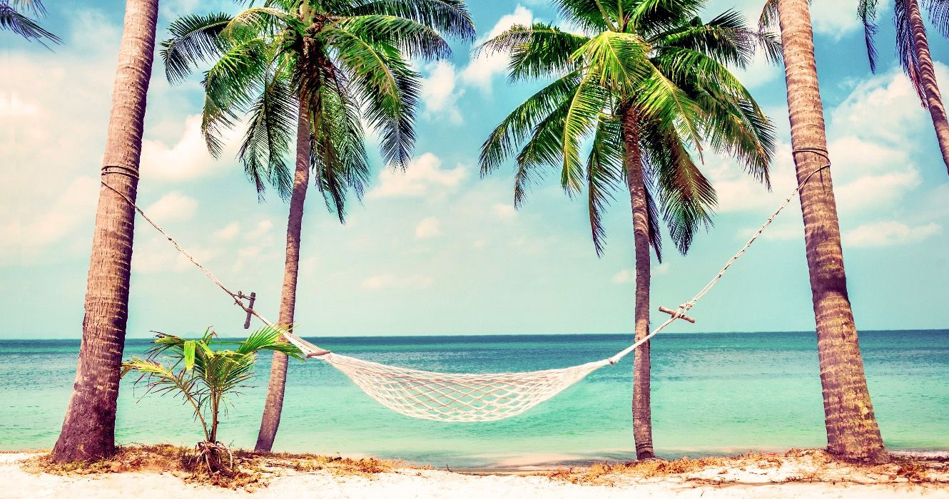 Hammock between two palm trees on the beach
