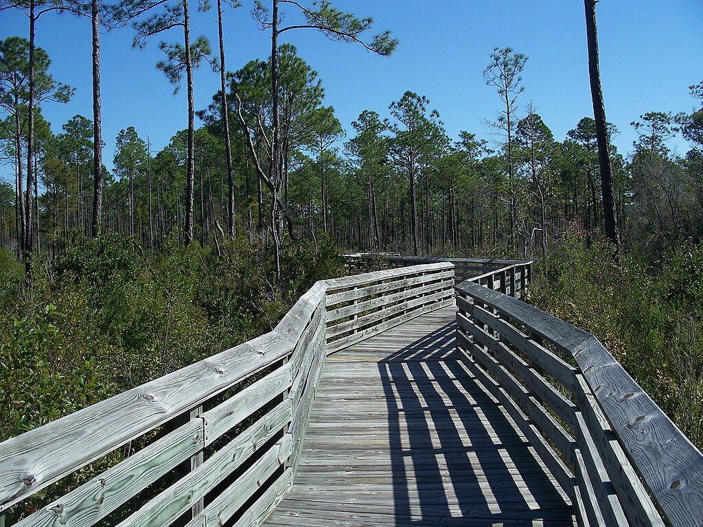 Walk Place 10 Top-Rated Beach Hikes in Florida
