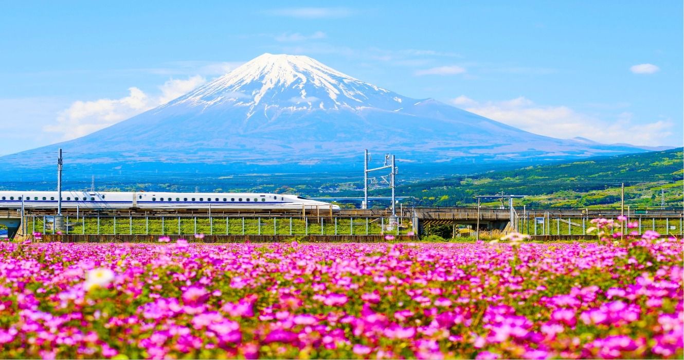 JR Bullet train or Japanese Shinkansen passing Mt. Fuji and Shibazakura during the spring, Japan