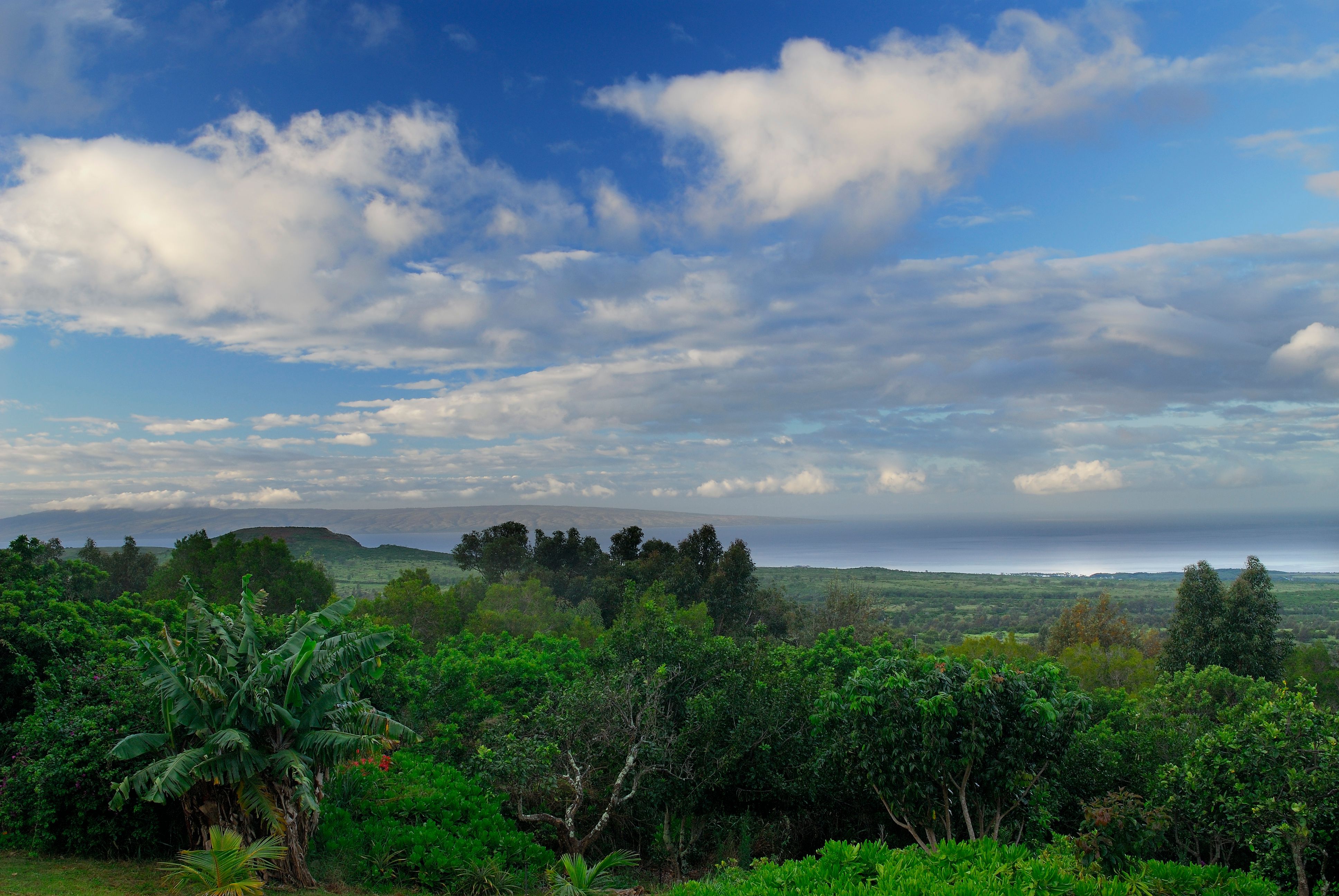 This Small Town In Hawaii Is The Cheapest Place To Retire If You Want ...