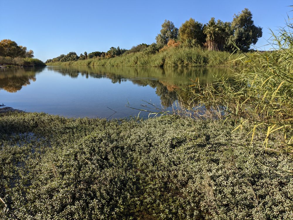 View of the Colorado River from West Wetlands Park in Yuma, Arizona