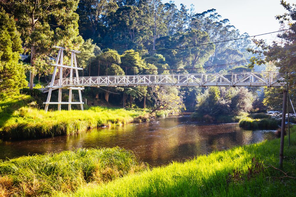 Yarra River on the Yarra River Walk trail at the Warburton Swing Bridge in the town of Warburton, Victoria, Australia