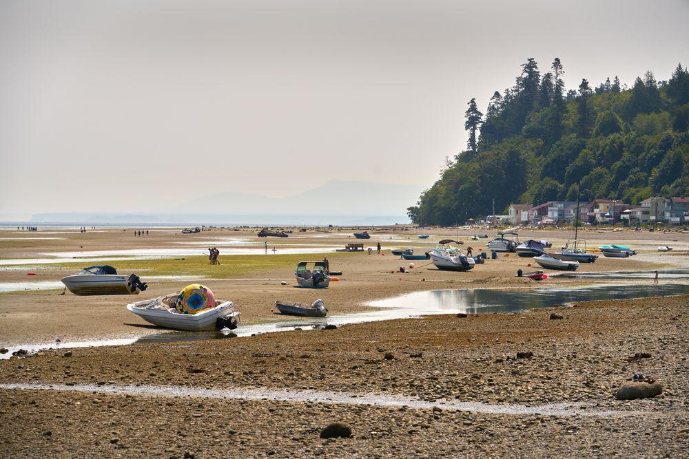 Boats on the sand bars of Boundary Bay during low tide at Maple Beach, Point Roberts, WA, Washington, USA
