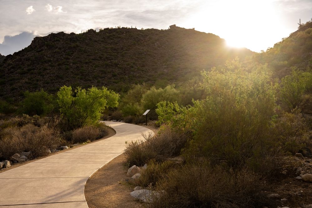 10 Scenic Hiking Trails In Arizona That Are Wheelchair-Accessible