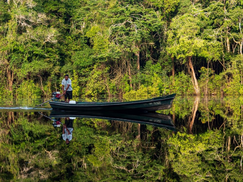 A wooden boat on the Christina lagoon in the Amazon jungle near Selwa on the border of Brazil and Peru, Valle del Yavari, aka Javari Valley or Vale do Javari, Amazonia, Brazil