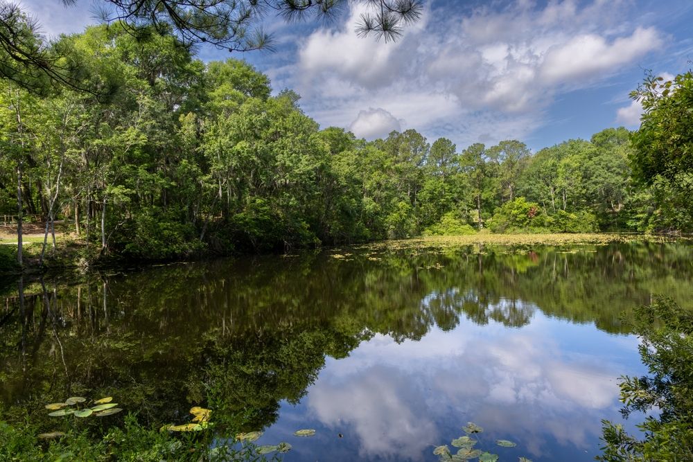 10 Scenic Yet Casual Hikes In Florida