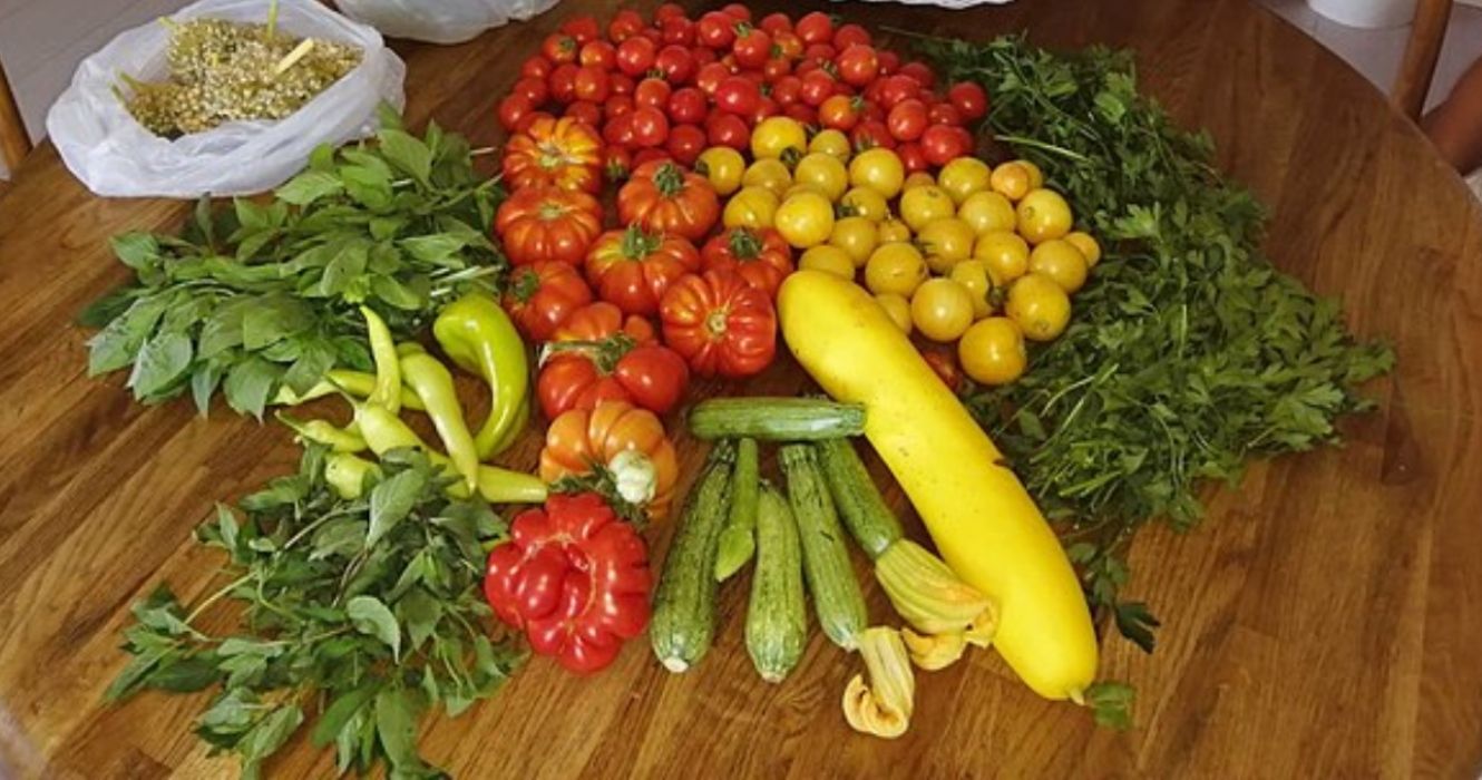 Vegetables from a garden