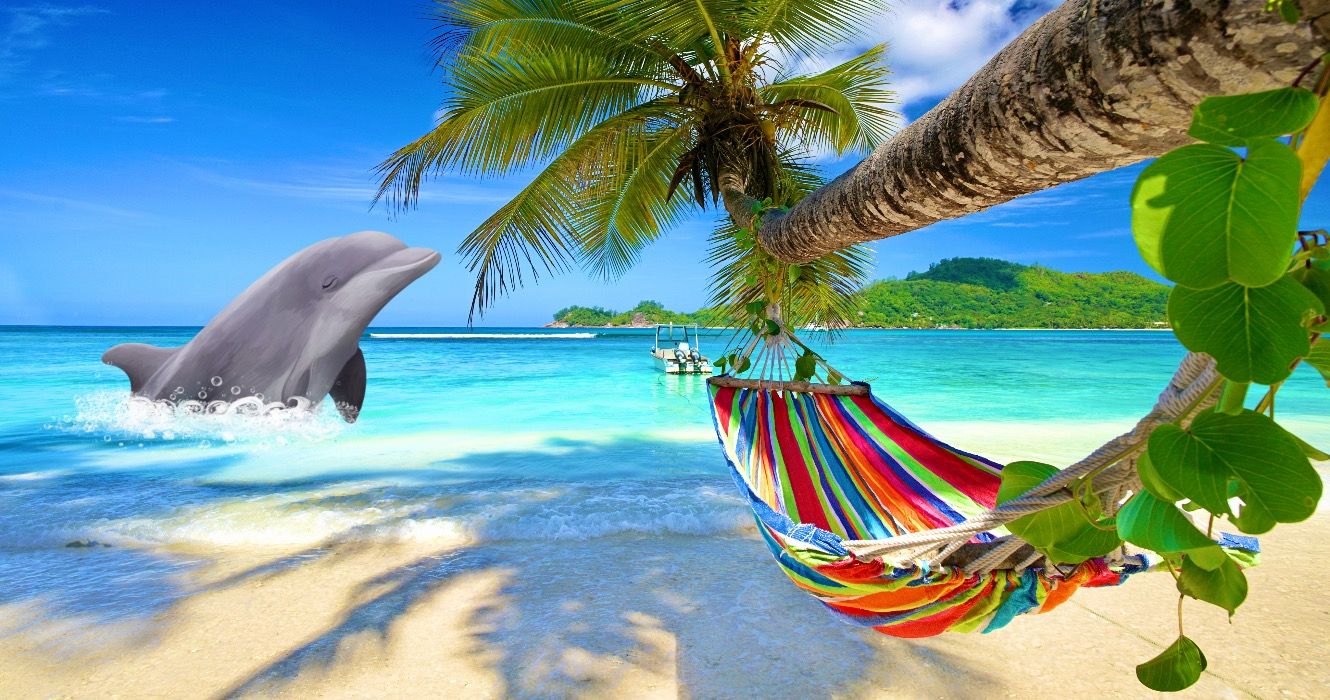 Seychelles island beach scene