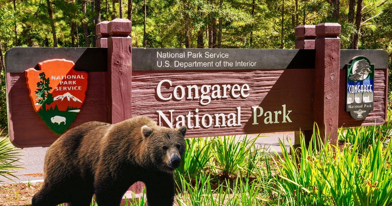 Congaree National Park, International Biosphere Reserve