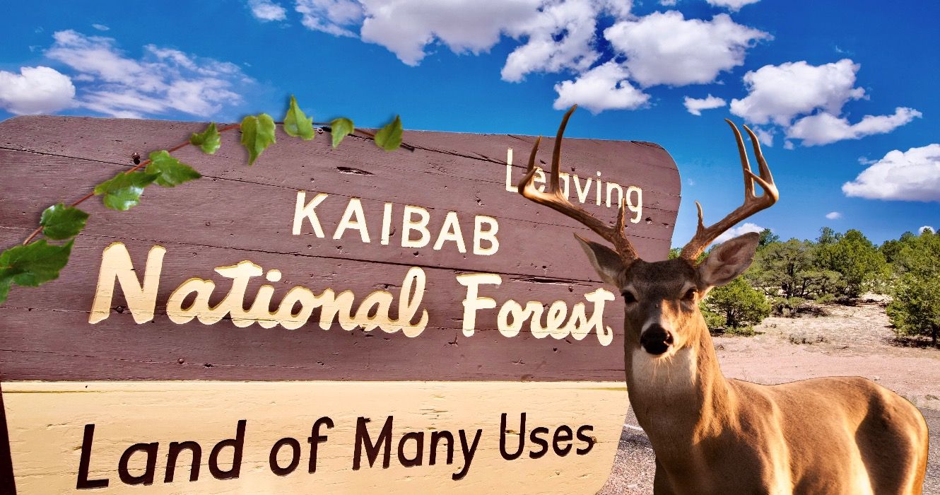 Sign telling people they are leaving the Kaibab National Forest, Arizona, USA.