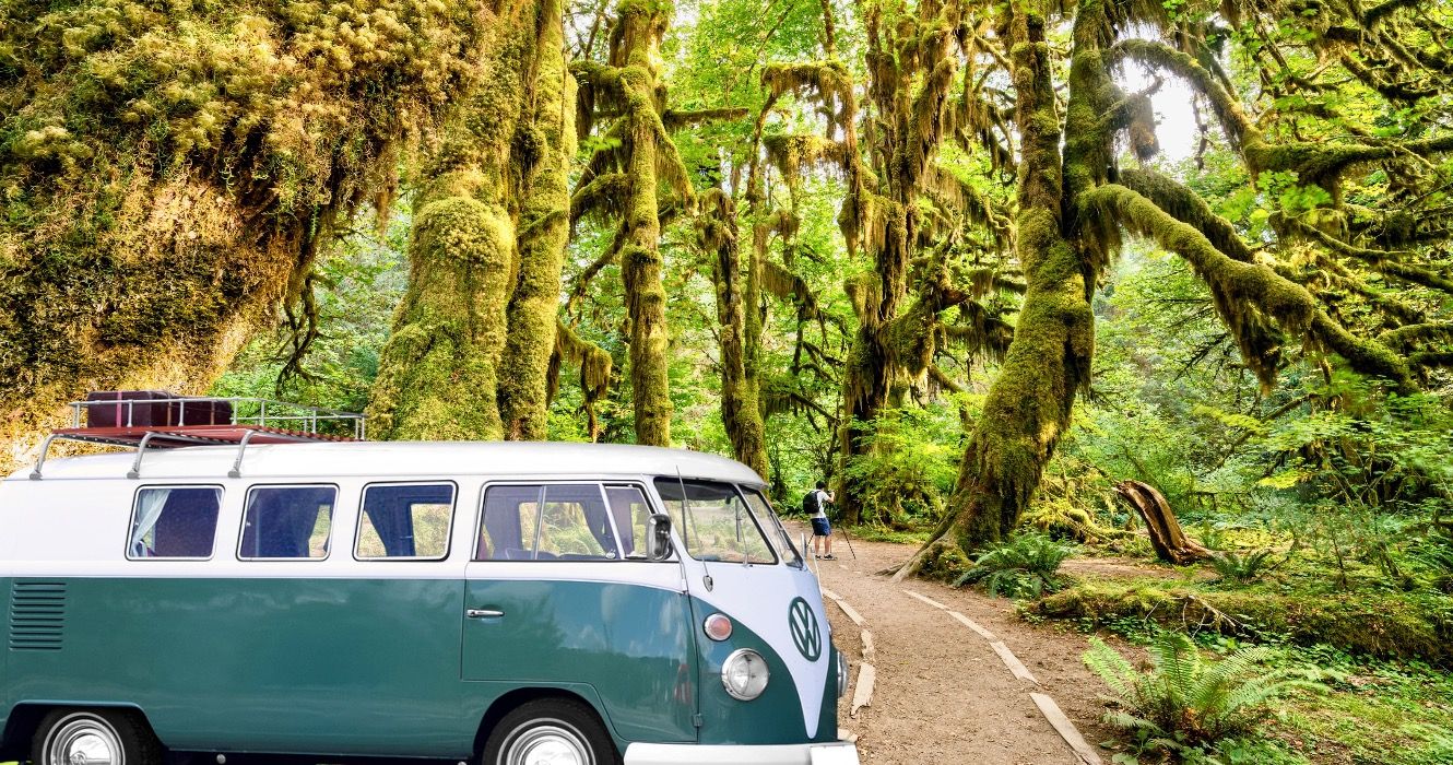 8 Washington National Park Road Trips With Scenic Stops