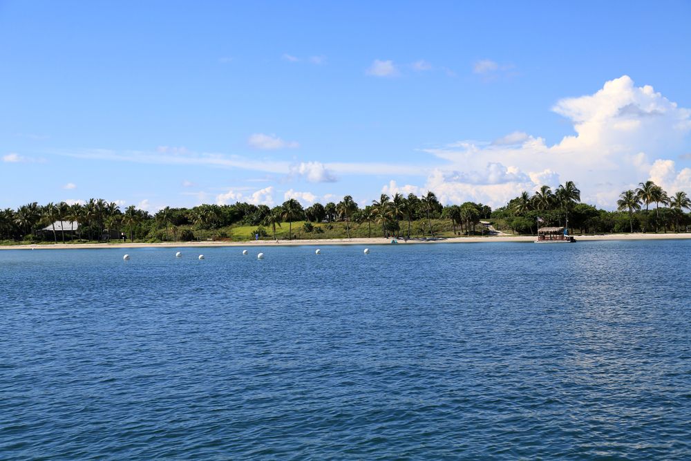 7 Florida Beaches Where You Can See Coral Reefs