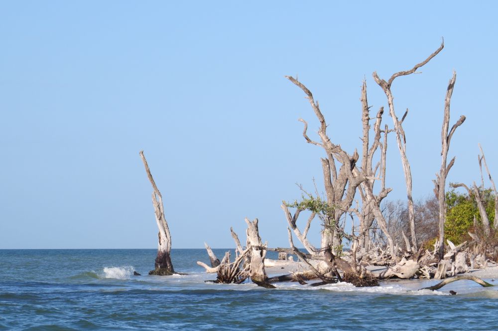 Cabbage Key A Scenic But Underrated Small Resort Island