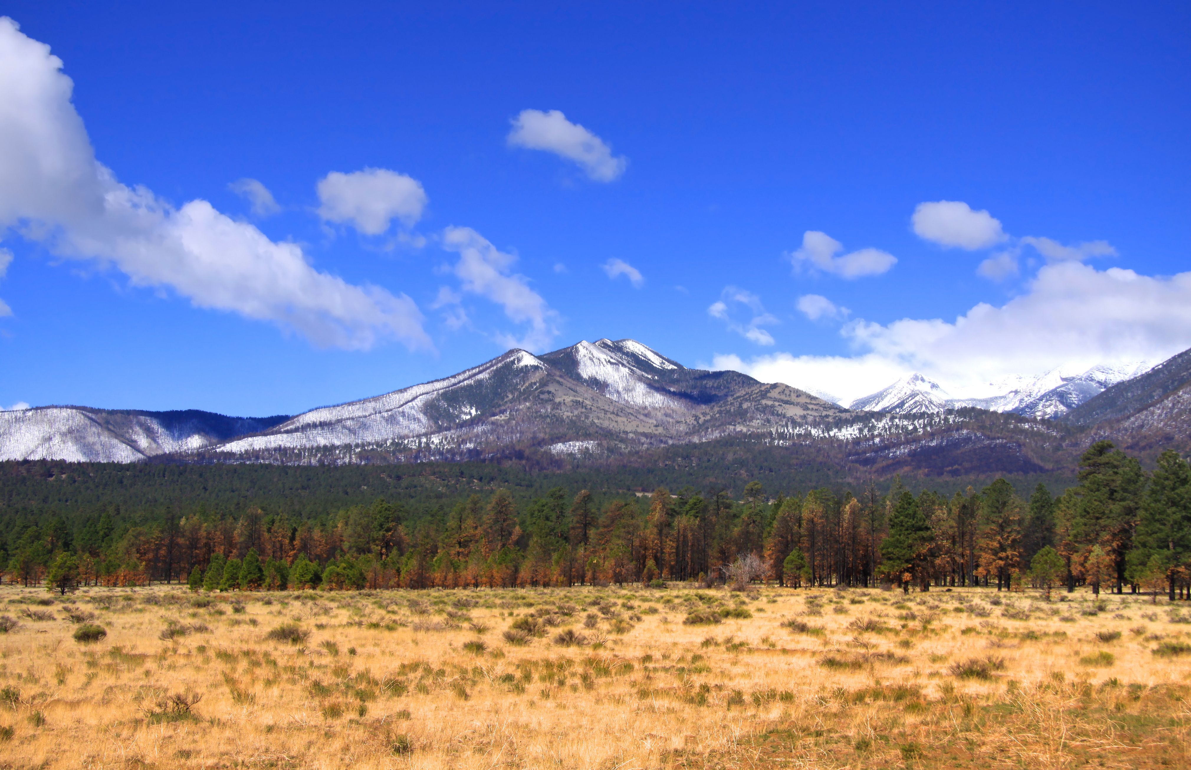 Humphreys Peak