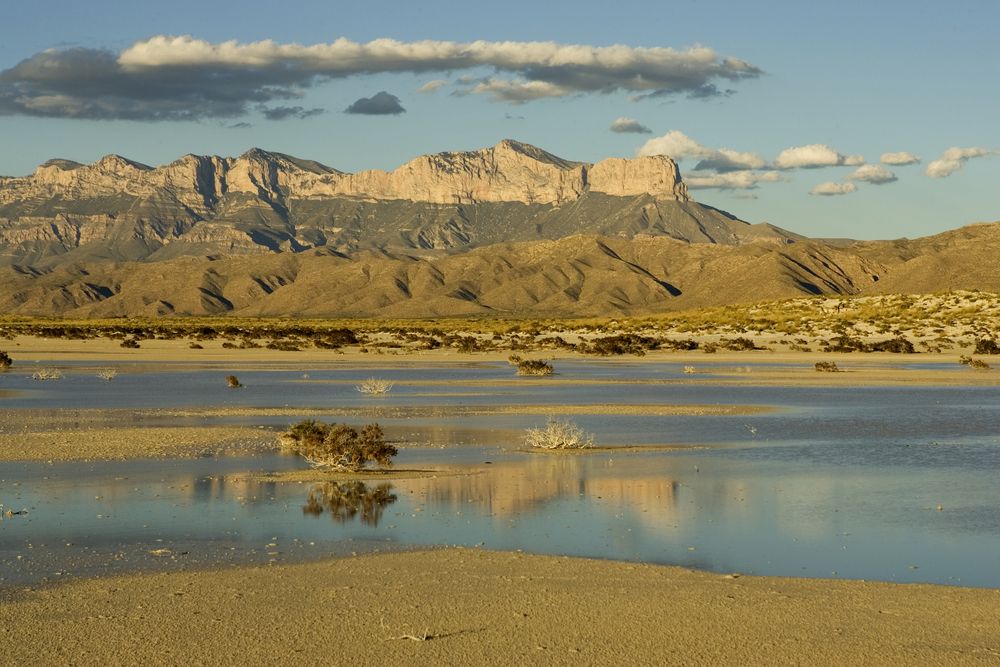 Guadalupe Peak and El Capitan from Flat Sand, Gunalupe Mountains, TX