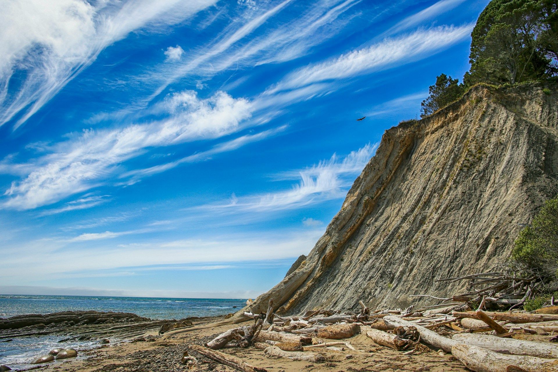 Where Is California's Bowling Ball Beach? (How To Visit)