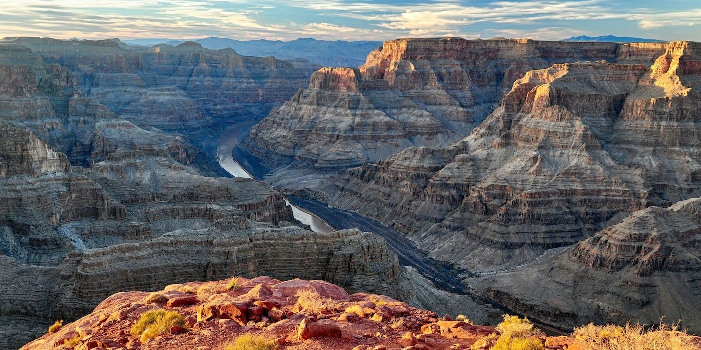 10 Most Incredible Animals In Grand Canyon National Park