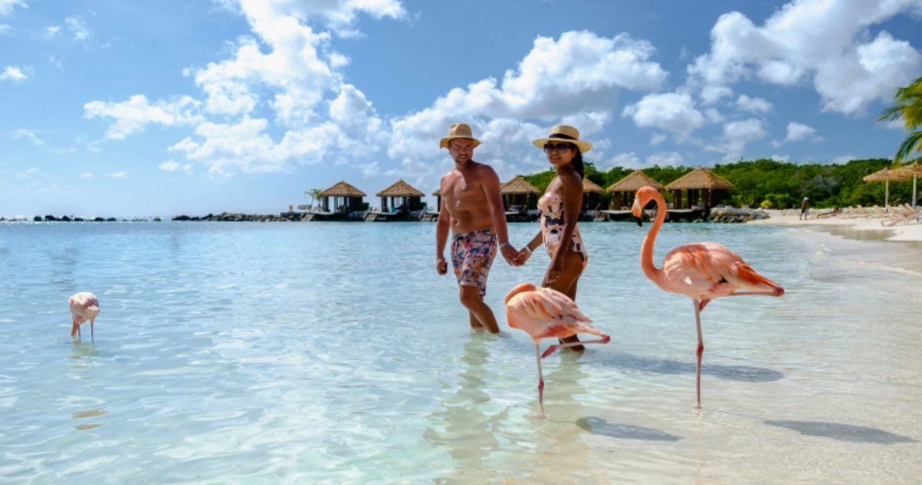 Aruba Beach with pink flamingos at the beach