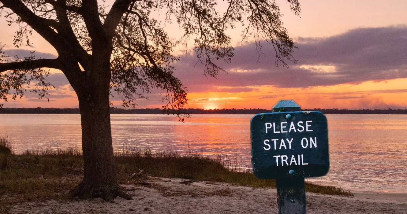 A scenic sunset view of the Cape Fear River from Carolina Beach State Park in North Carolina.