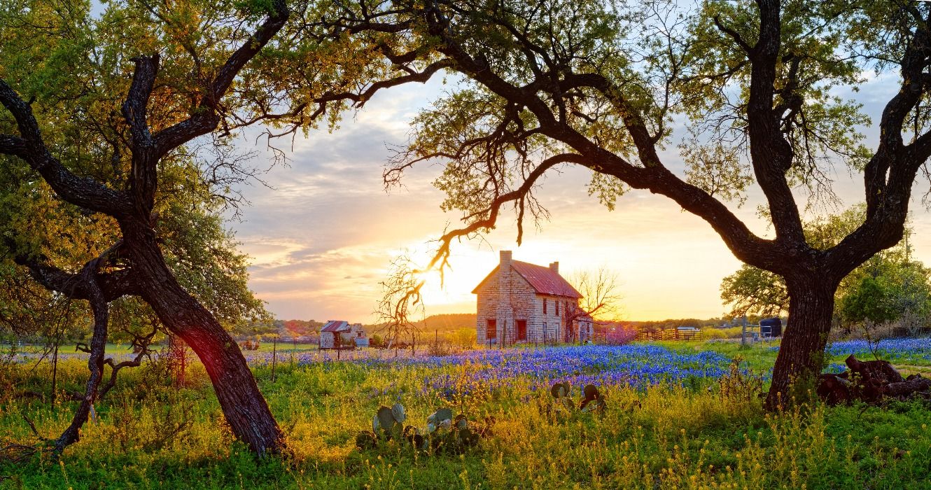 Bluebonnet House in Marble Falls with Bluebonnets at sunset in Marble Falls, TX, Texas, USA