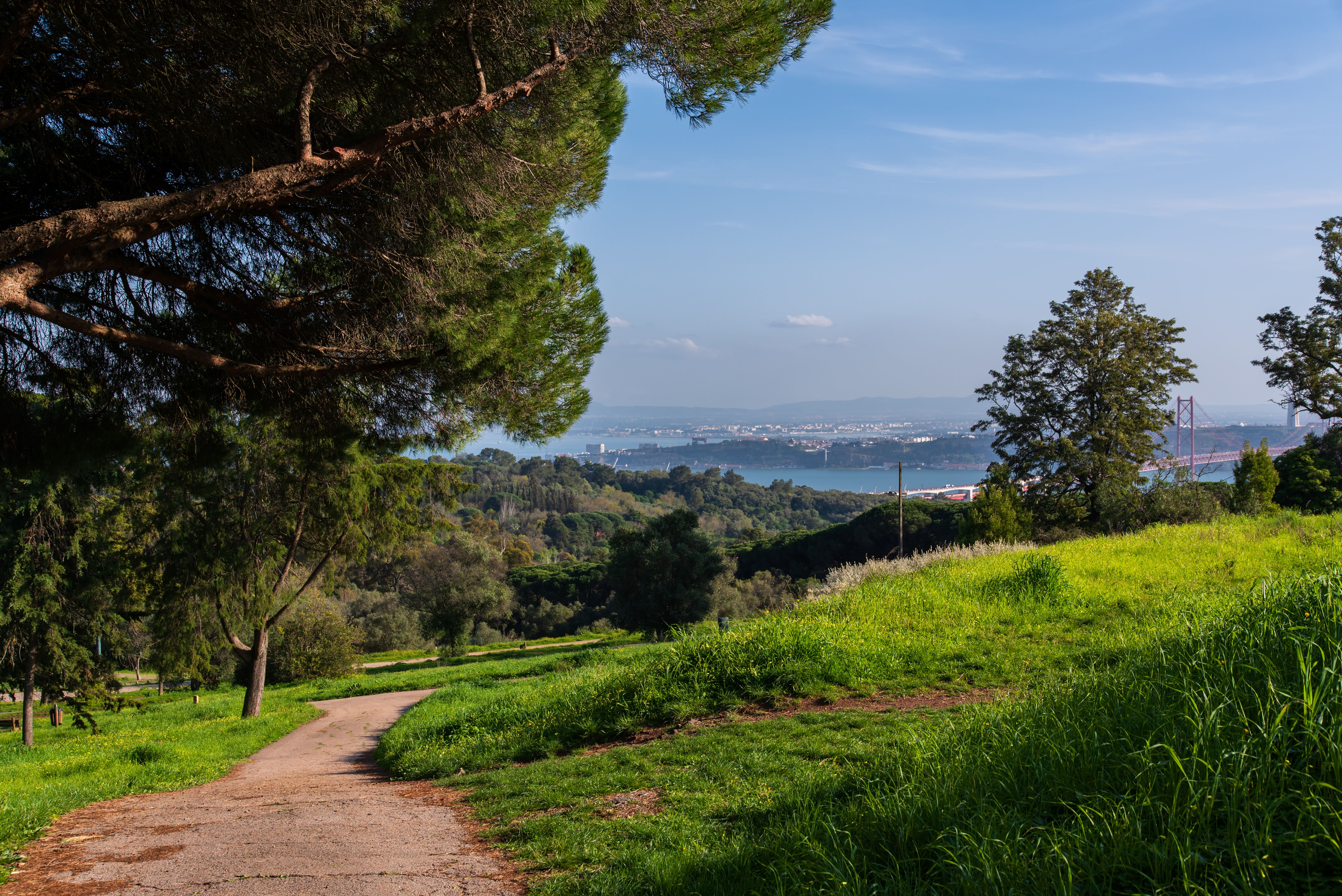 View of Monsanto Park in Lisbon, Monsanto park is the major green area in Lisbon.