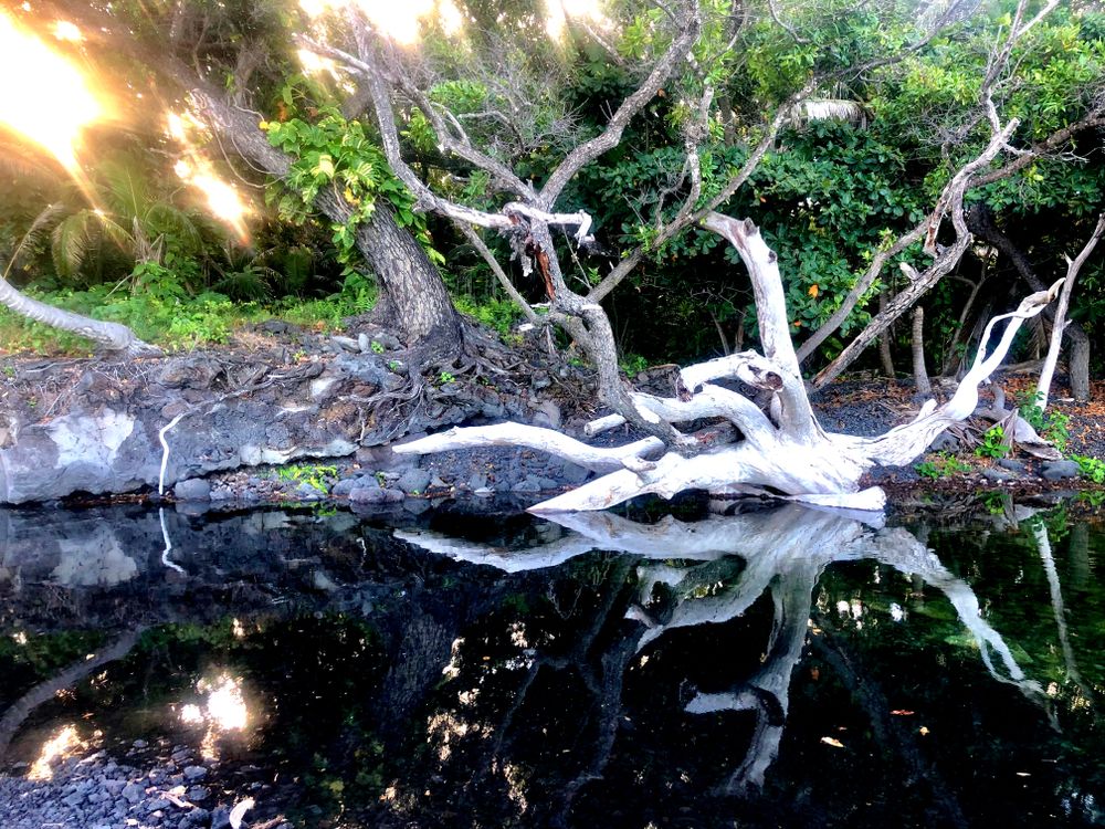 Cool Off In These 7 Natural Springs In Hawaii