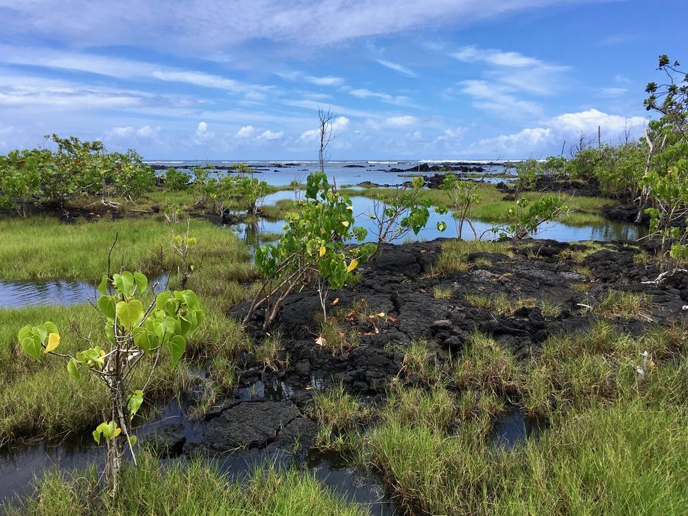 Cool Off In These 7 Natural Springs In Hawaii