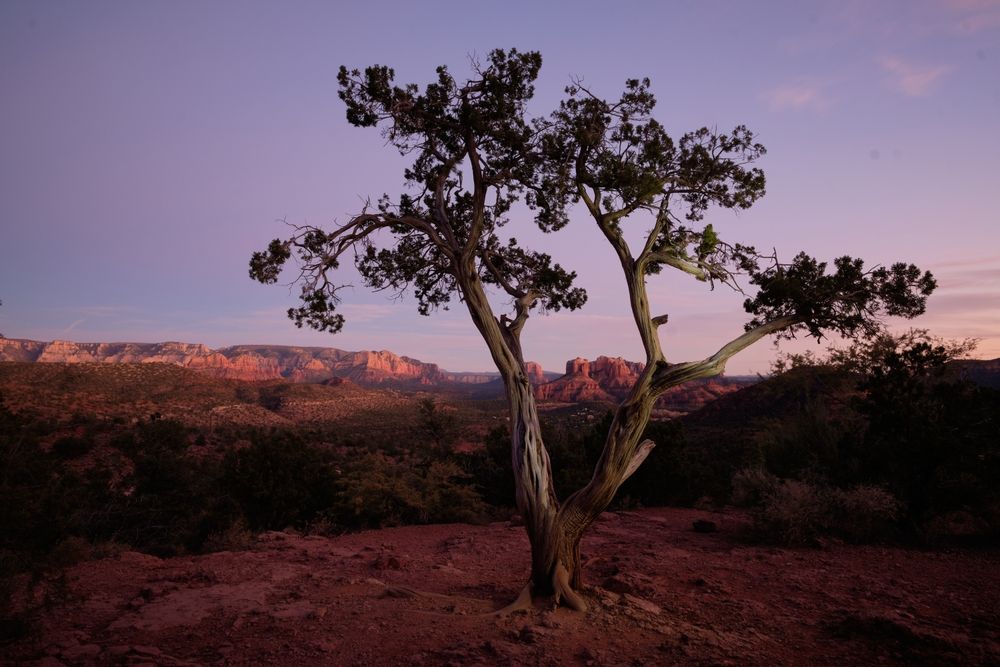 This Arizona Hiking Trail Offers Panoramic Mountain Views For Free