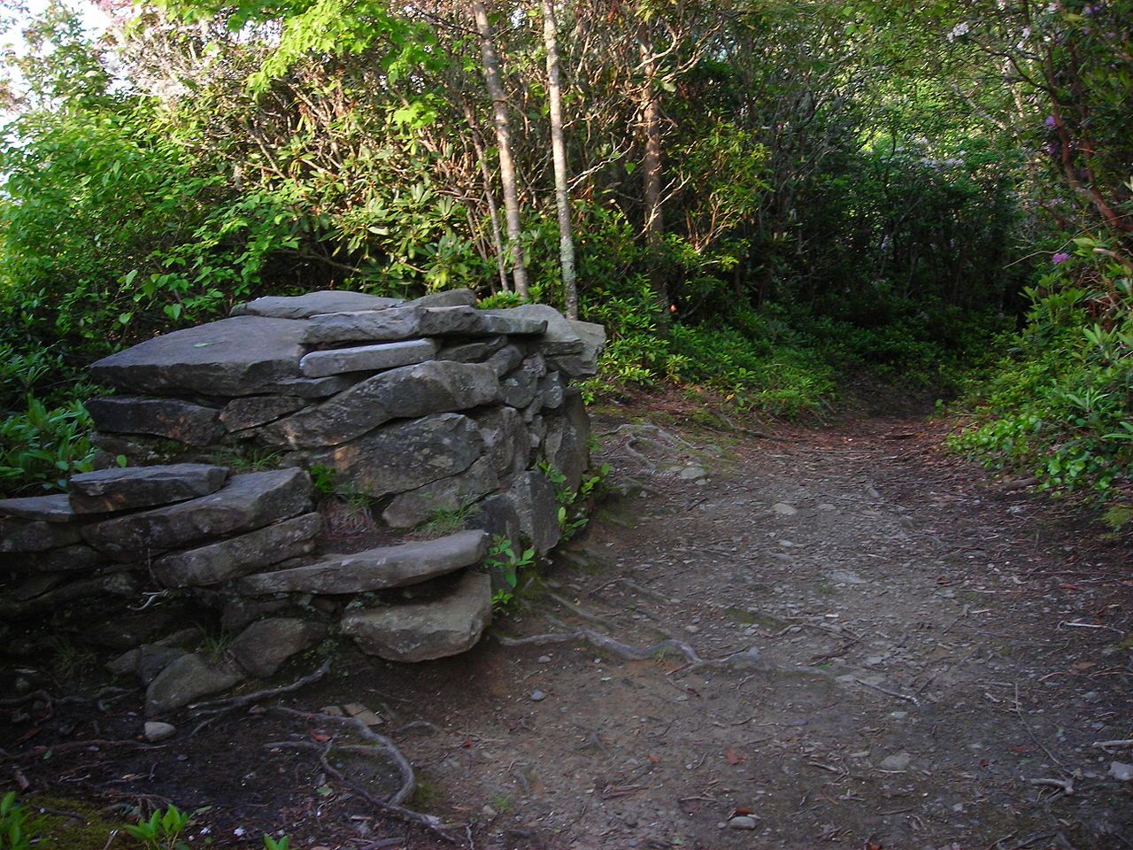 Bullhead Trail to Mount Le Conte offers onlookers partial views into the Greenbrier Valley of the Great Smoky Mountains.