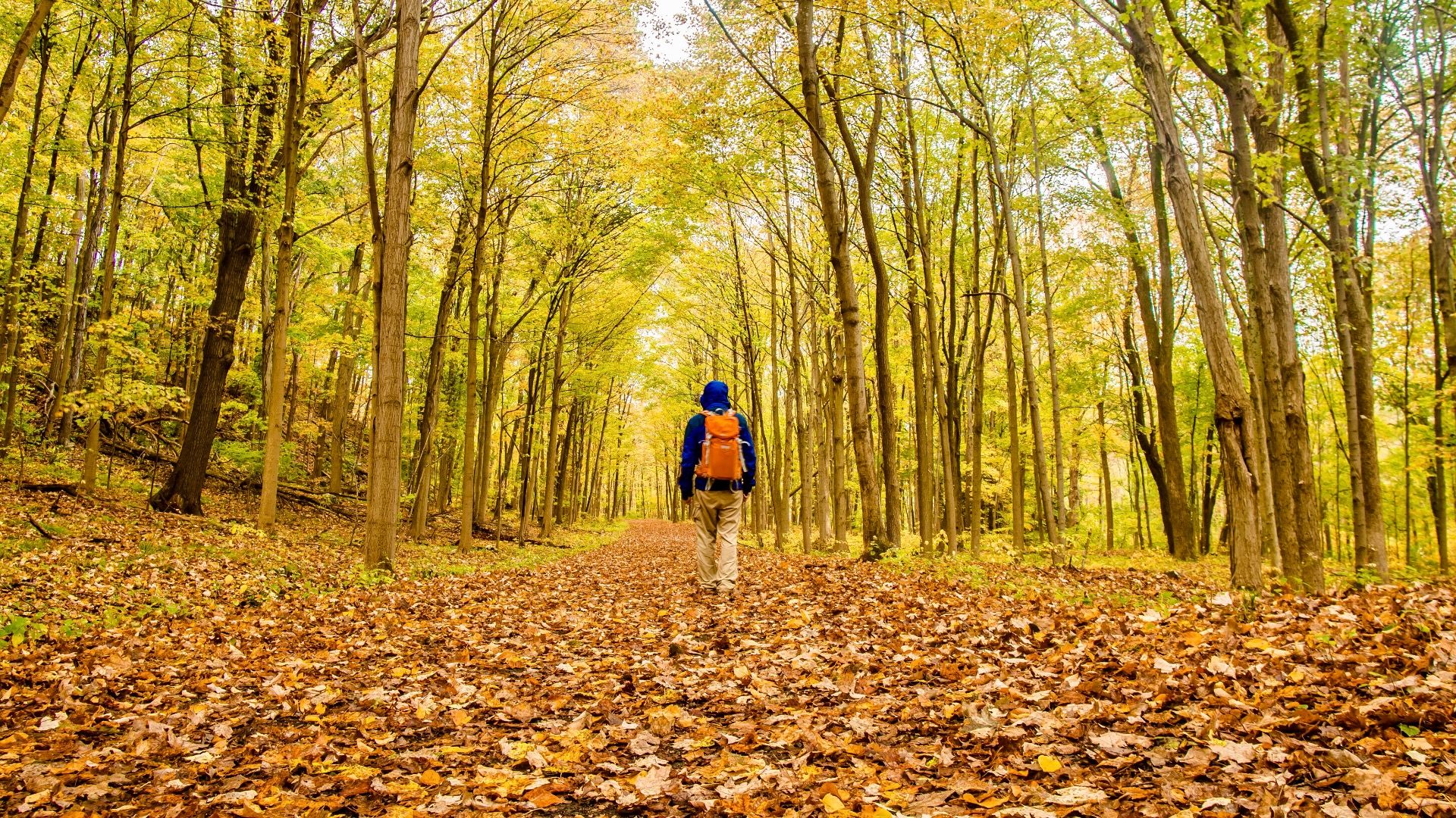 7 Scenic State Parks I Visited In Connecticut, Just Two Hours From NYC