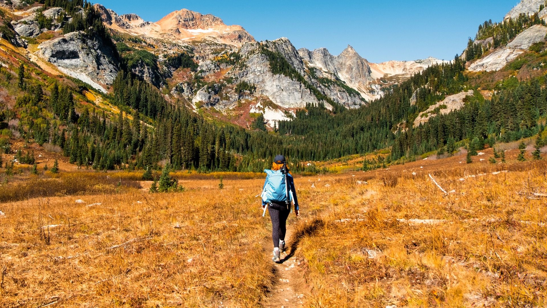 Head To West Seattle To See Glacier Peak This Summer