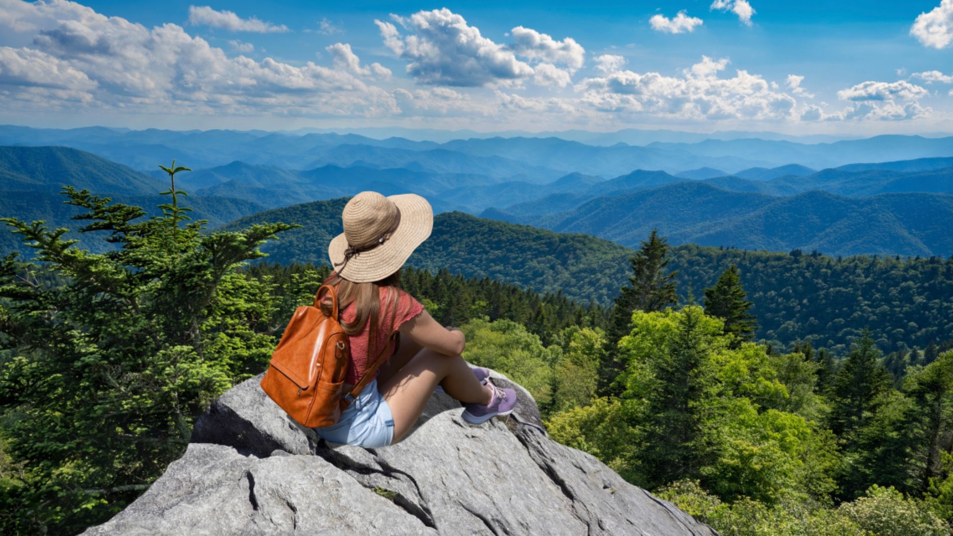 Blue Ridge Parkway ,near Asheville, North Carolina, USA.