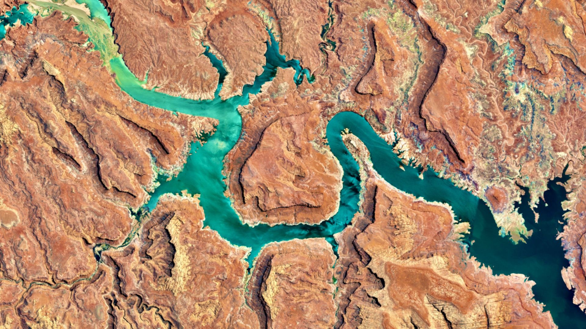 Colorado River, Lake Powell and Trachyte Canyon looking down aerial view from above – Bird’s eye view Colorado River, Utah, USA