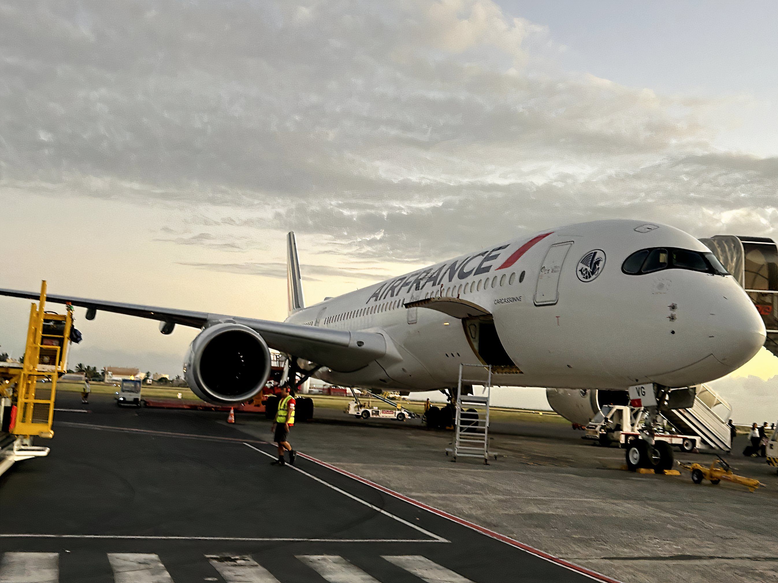 Air France A350-900 "Carcasonne"