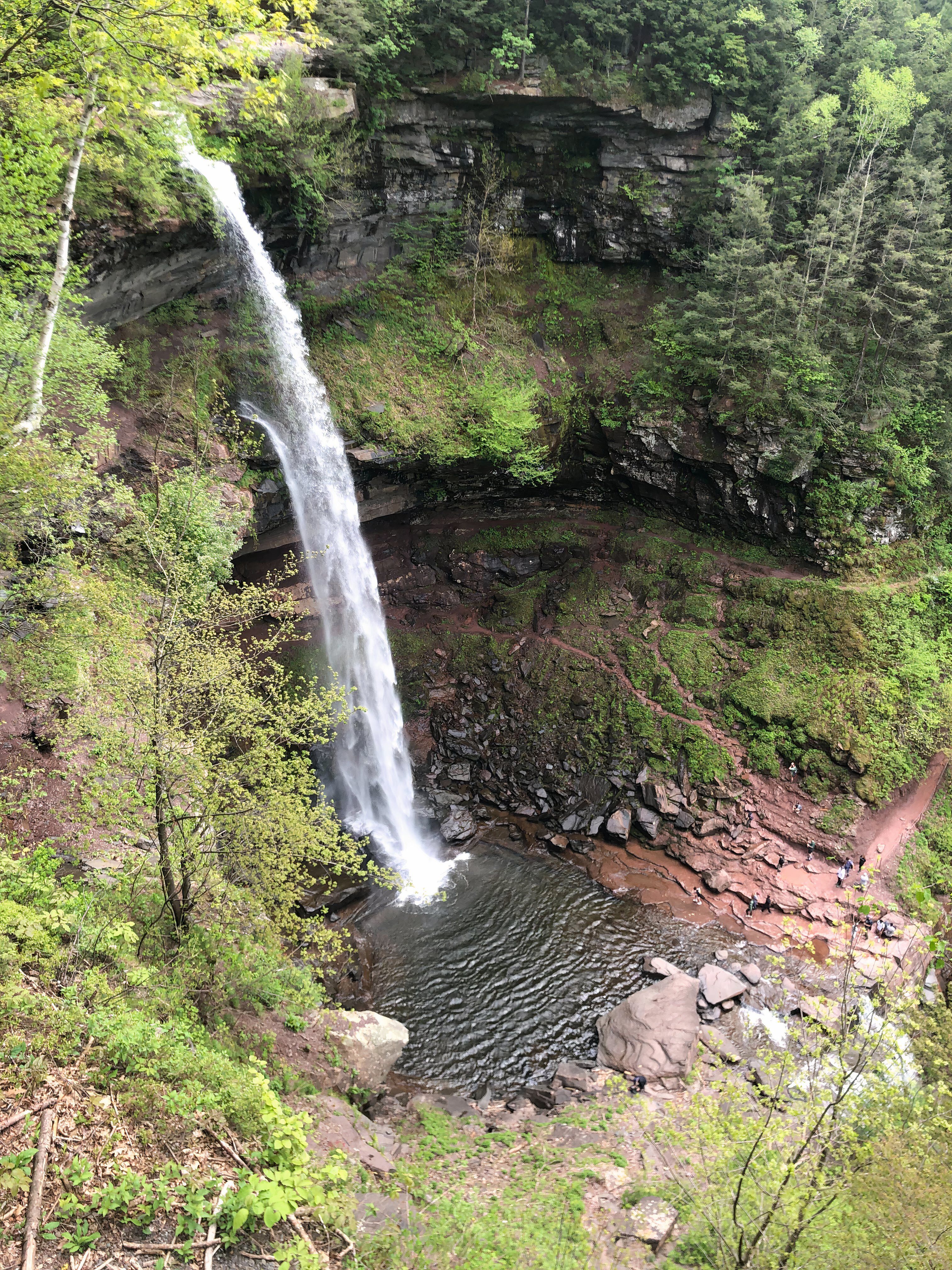 The view of Kaaterskill Falls from the viewing platform