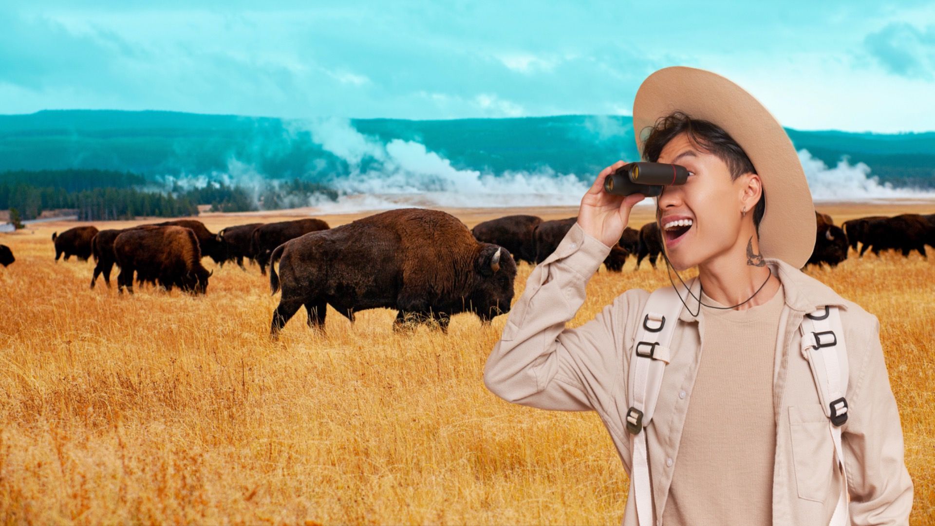 Person viewing buffalo at Yellowstone National Park