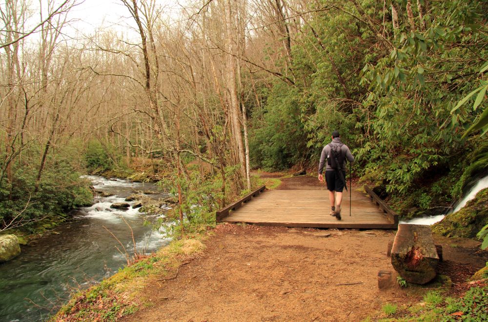 7 Best Day Hikes In Great Smoky Mountains National Park