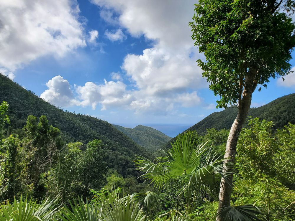 St. John U.S. Virgin Island from Reef Bay Trail in USVI National Park