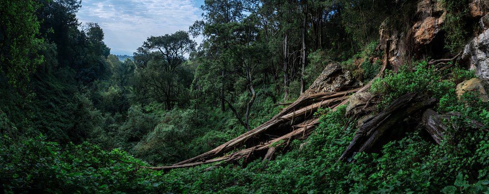 These Are The Most Dangerous Caves In The World