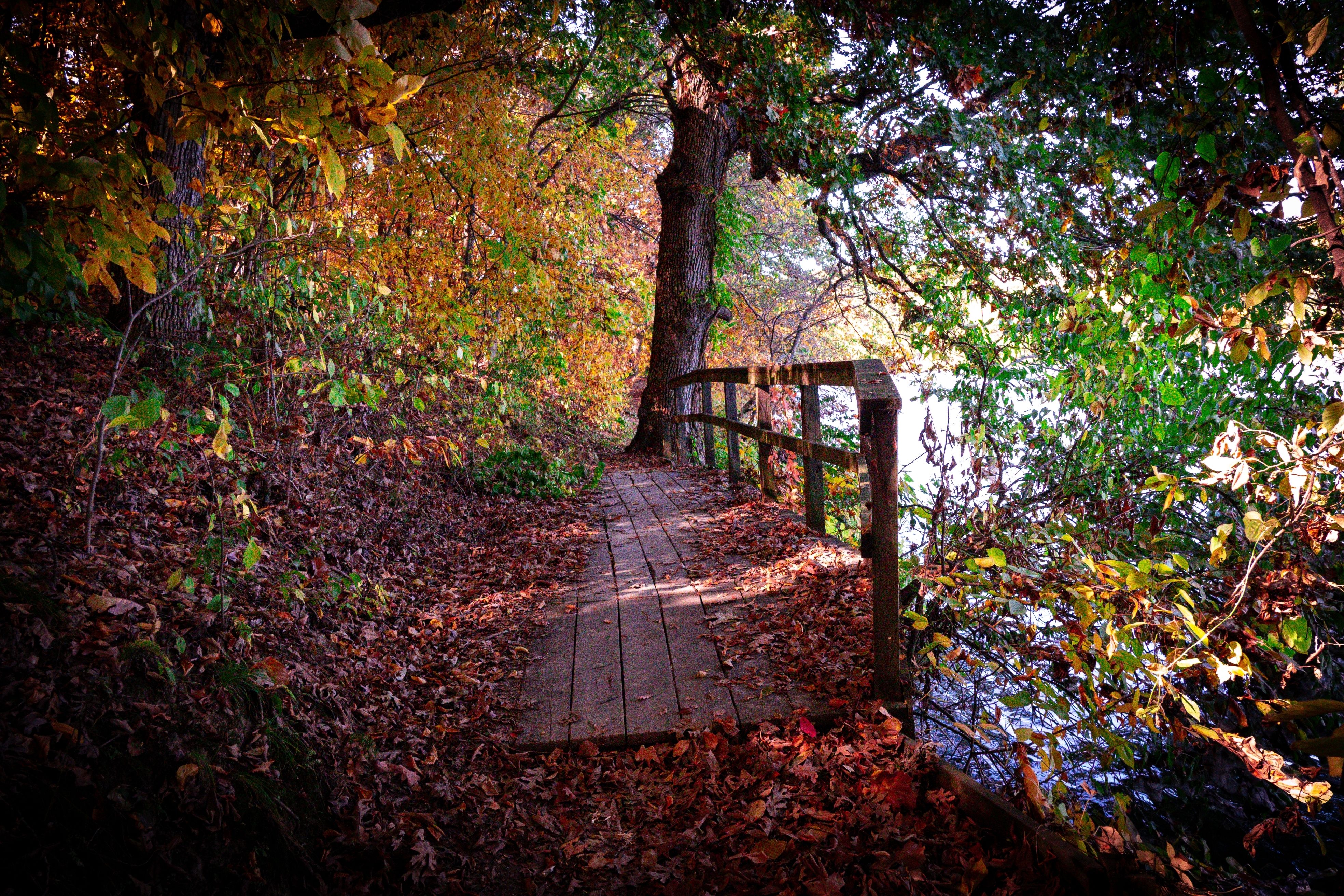 Beaver Dam State Park, Illinois