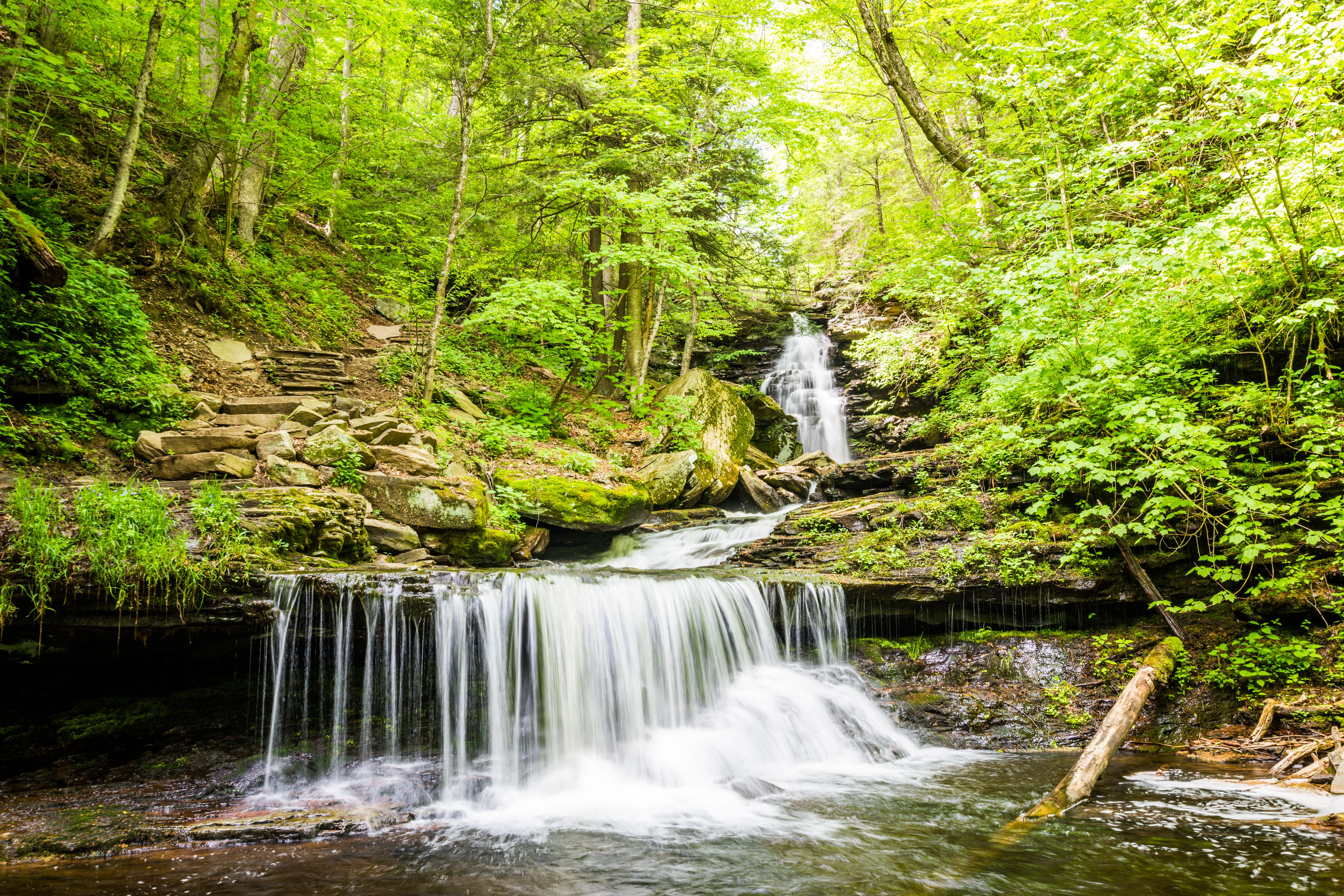 Ricketts Glen State Park, Pennsylvania