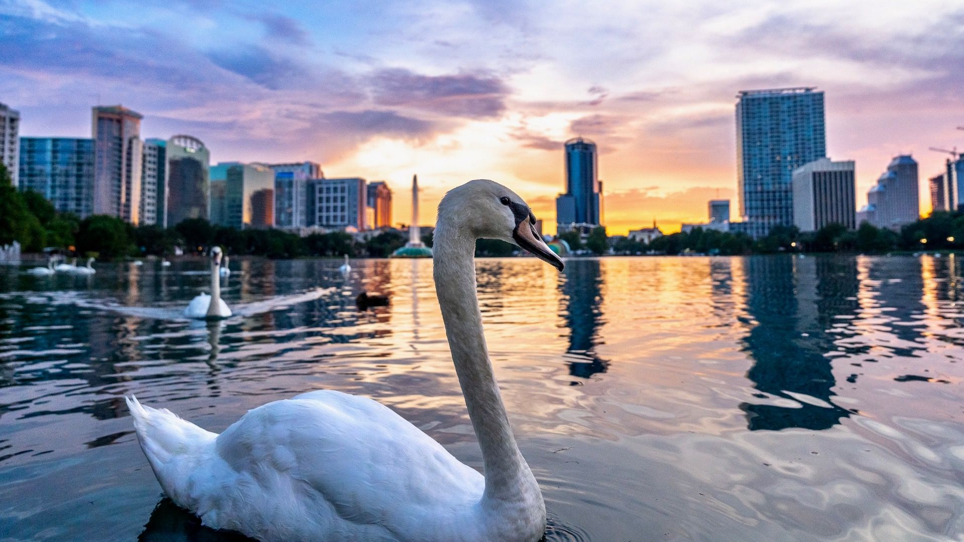 7 Vibrant Cities In Florida With Miami Vibes, But Better