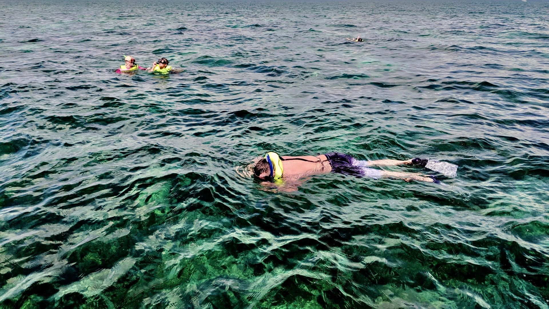 Snorkeling Meets Turqoise Water At This Florida National Park