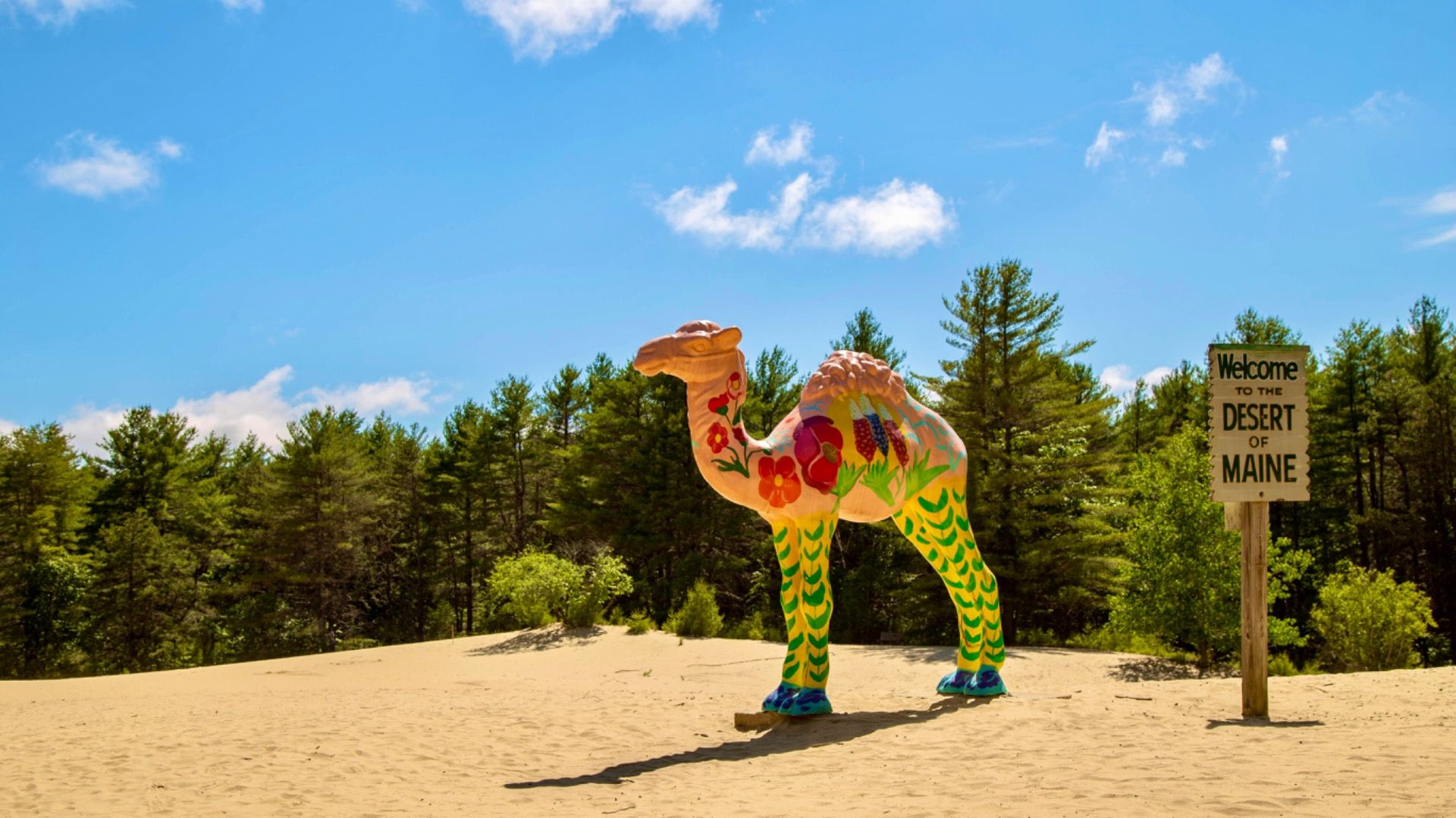 Is This The Grand Canyon Of Maine?